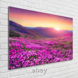 Tulup Glass Print Wall Art Image Picture 100x70cm Pink hills