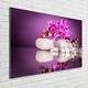 Tulup Glass Print Wall Art Image Picture 100x70cm Pink orchid