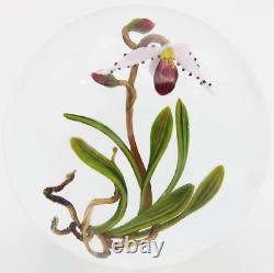 Unique FASCINATING Large CHRIS BUZZINI Pink ORCHID Art Glass PAPERWEIGHT 1 of 1
