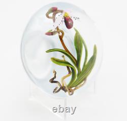 Unique FASCINATING Large CHRIS BUZZINI Pink ORCHID Art Glass PAPERWEIGHT 1 of 1