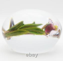 Unique FASCINATING Large CHRIS BUZZINI Pink ORCHID Art Glass PAPERWEIGHT 1 of 1