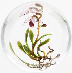 Unique FASCINATING Large CHRIS BUZZINI Pink ORCHID Art Glass PAPERWEIGHT 1 of 1