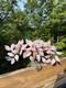 Venetian Opalescent Pink Art Glass'Bonsai Flower Tree MCM