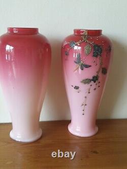 Victorian Antique Art Glass Harrach Vases with Enamel Decoration