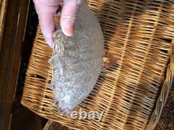 Vintage Franklite Murano art glass flush ceiling light frosted/pink frilled 29cm