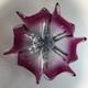 Vintage MCM Murano Cranberry Pink Art Glass Star Flower Bowl Italy Centerpiece