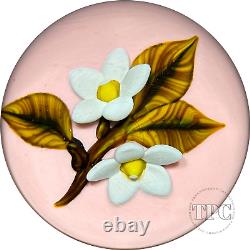 William Manson 2022 Art Glass Paperweight Flamework White Daisies on Opaque Pink