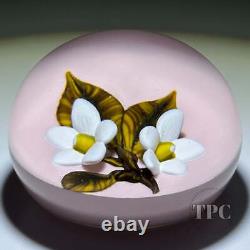 William Manson 2022 Art Glass Paperweight Flamework White Daisies on Opaque Pink