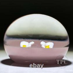 William Manson 2022 Art Glass Paperweight Flamework White Daisies on Opaque Pink