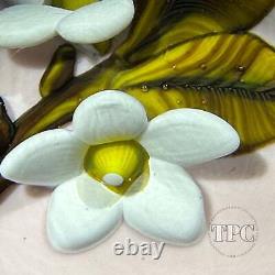 William Manson 2022 Art Glass Paperweight Flamework White Daisies on Opaque Pink