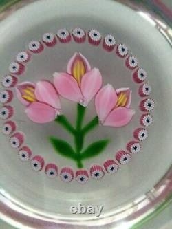 William Manson Crocus Limtd. Ed. Paperweight Made For Caithness Certificate