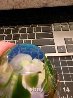 Youghiogheny Triggs 2006 Signed Art Glass Floral Paperweight Faceted 31 Oz