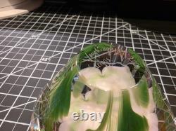Youghiogheny Triggs 2006 Signed Art Glass Floral Paperweight Faceted 31 Oz